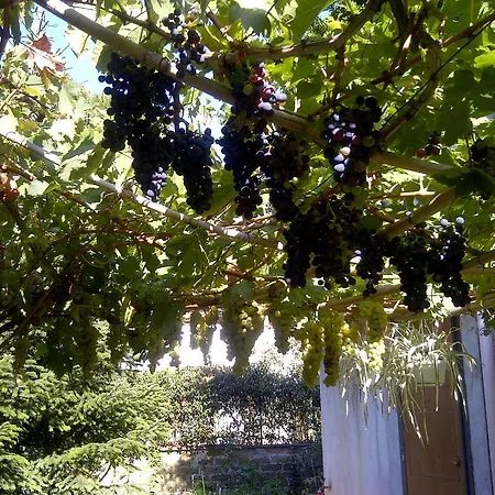 La Locandina * Cerveteri