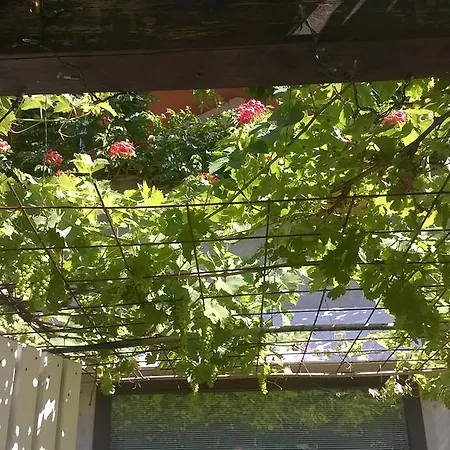 La Locandina Bed & Breakfast Cerveteri