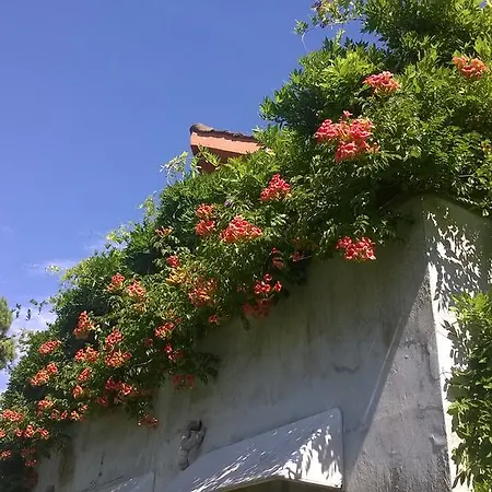 Bed & Breakfast La Locandina