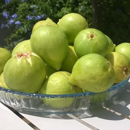 Frühstückspension La Locandina